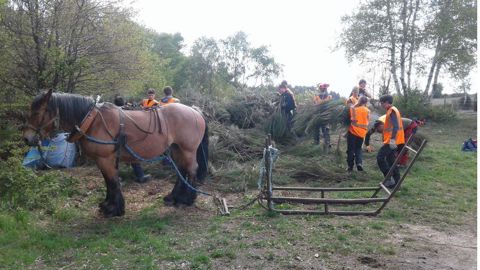 En travaux pratiques à Uchon, des lycéens retrouvent les savoir-faire d’antan. F.Arnould